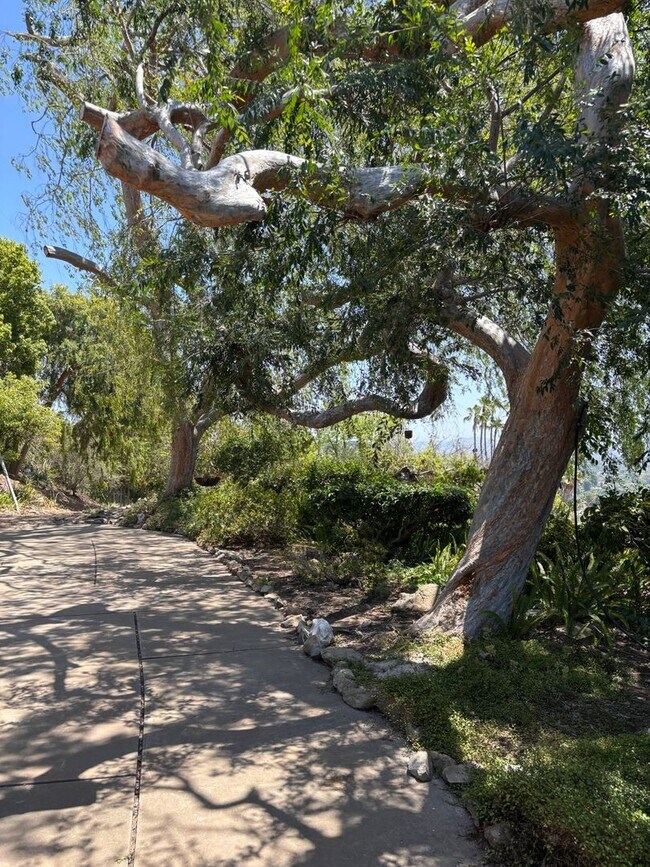 Foto del edificio - Mt Helix Custom Home with Panoramic Views ...