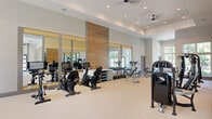 Located on Sunset Blvd in West Columbia, SC, this fitness center offers a generously sized, single-floor space designed to support a comprehensive workout experience. The facility's architecture features notably high ceilings with recessed lighting and ceiling fans throughout, contributing to an open, airy atmosphere that feels expansive and comfortable during use.

The main exercise area is thoughtfully organized to accommodate a wide variety of equipment. A row of stationary and recumbent bikes lines one section, positioned in front of large floor-to-ceiling mirrors framed by warm wood accent panels, which enhance the sense of depth in the space. Strength training equipment, including cable machines, bench press stations, and free weight racks, is distributed throughout, providing ample room to move between stations.

A dedicated cardio zone features treadmills and an elliptical trainer positioned beneath oversized windows that flood the area with natural light and offer views of surrounding greenery. Stability balls and resistance accessories are neatly organized nearby. Additional multi-function strength machines occupy a separate section, maximizing the facility's training versatility. Light-toned flooring runs throughout, complementing the neutral wall palette and maintaining a clean, modern aesthetic.