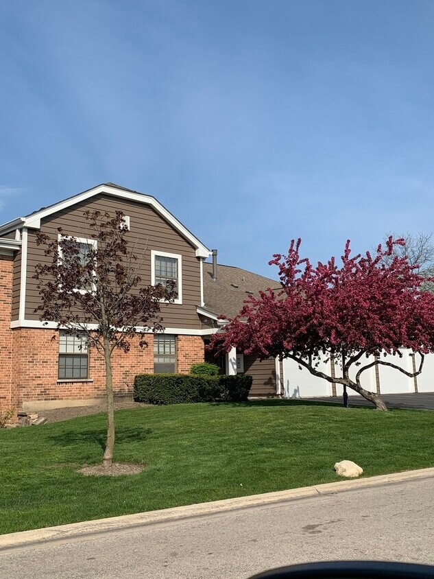 50 Stanton Ct, Schaumburg, IL 60193 House Rental in Schaumburg, IL