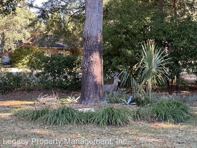 Building Photo - 4 br, 2 bath House - 6028 Arnies Way