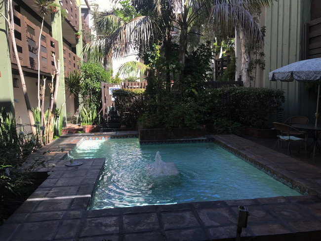 Lobby garden - 320 S Ardmore Ave