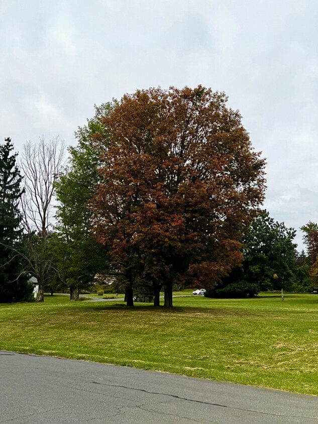 Beautiful grounds ! - 1049 Danby Rd