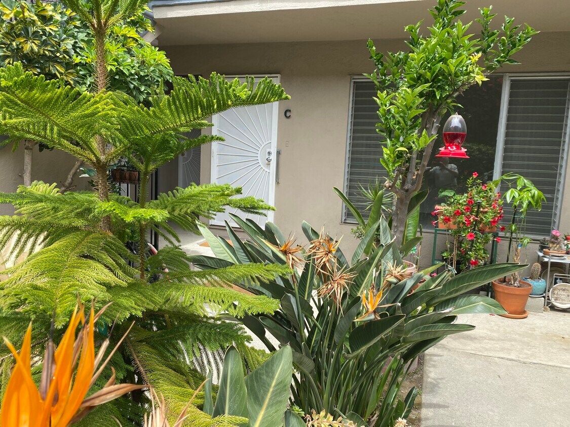 Garden Setting - 1224 9th St