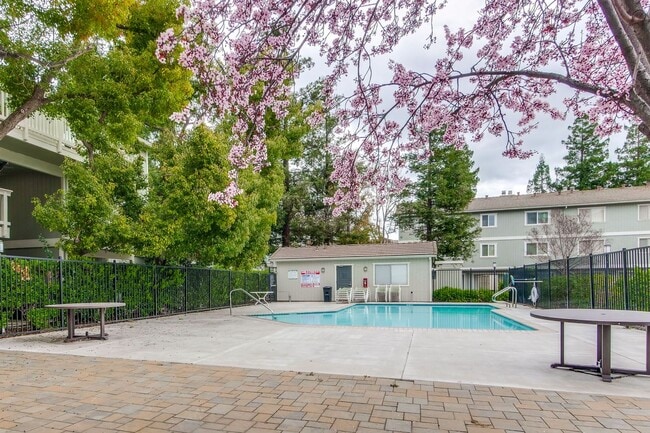 Building Photo - Refreshed 2/2 Second Floor Campbell Condominium in Great Location! Attached Garage & Additional S...