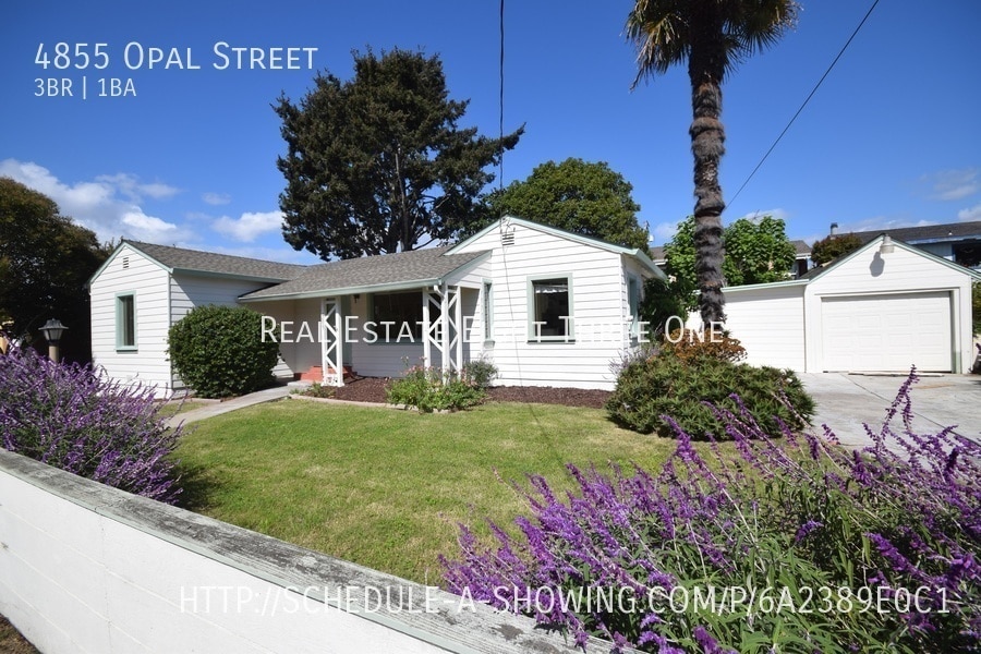 Jewel Box 3 bed / 1 bath just steps away t... House for Rent in