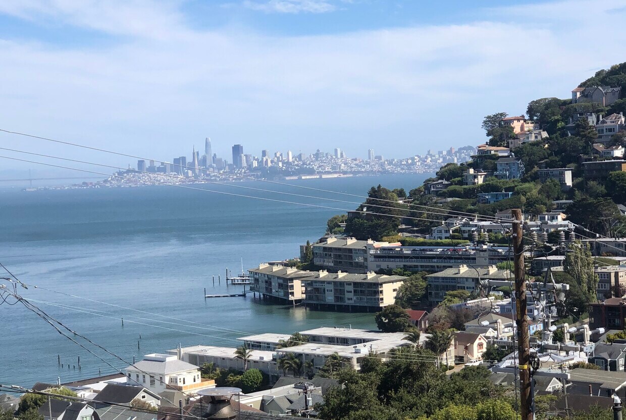 Spectacular San Francisco Views - 503 North St