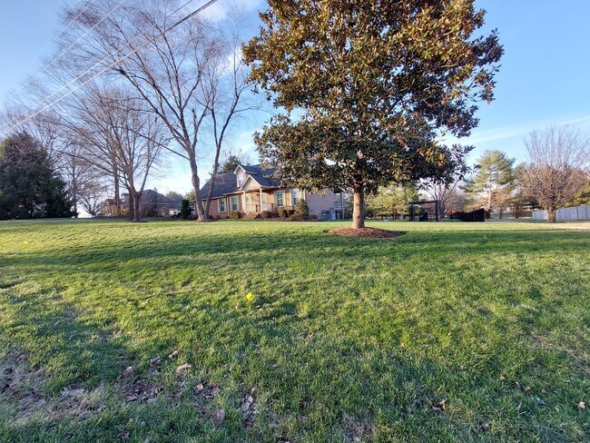 Building Photo - 907 Bedford Pl