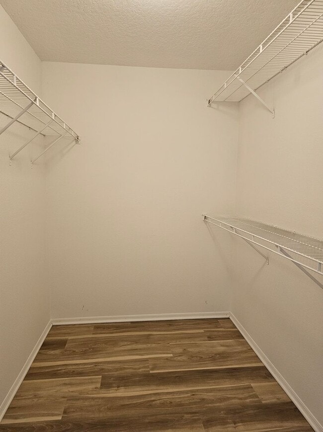 Building Photo - Move In Ready