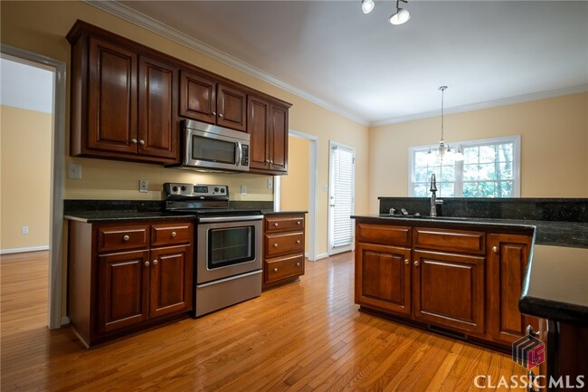 Building Photo - 1030 Laurel Springs Ct