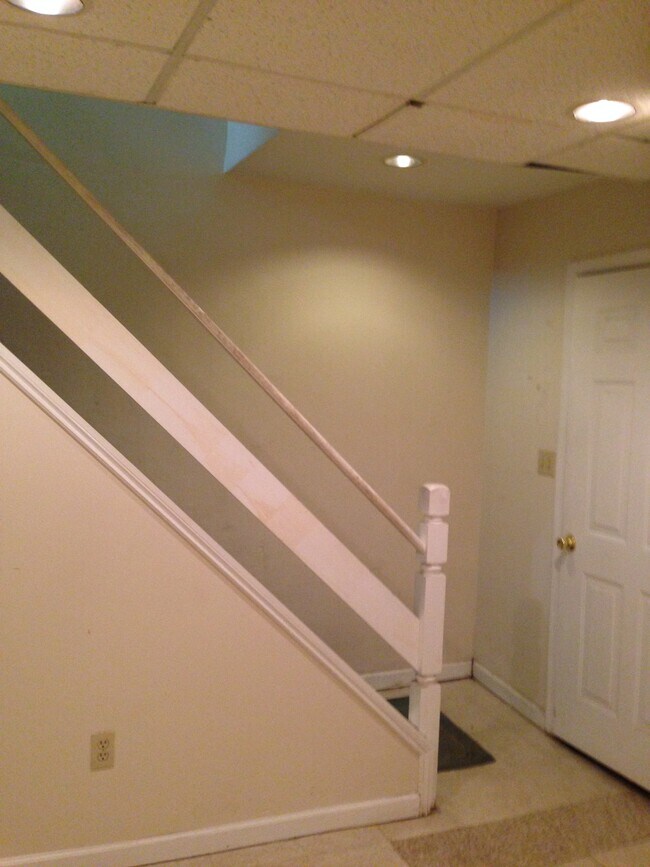 stair way to lower level - 42 Wellington Rd