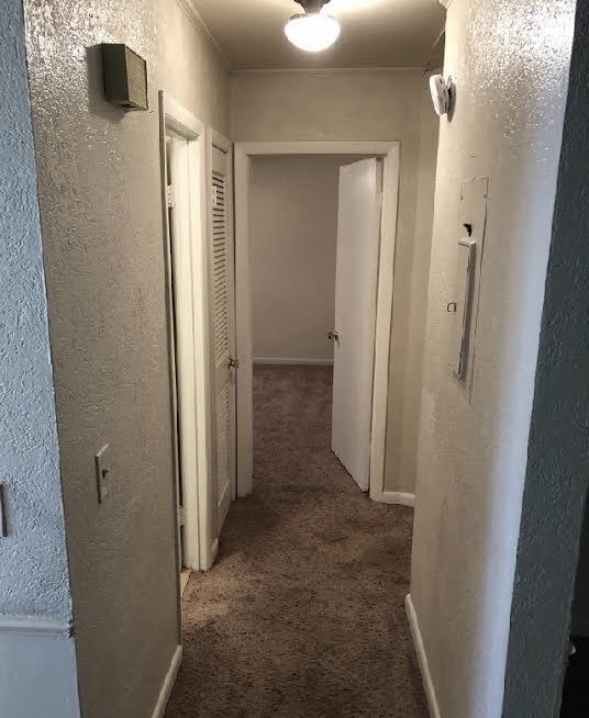 Foto del edificio - Coming Soon! 2BR Duplex with Screened Patio in the Murray Hill