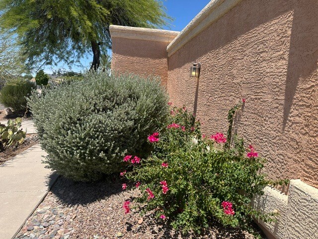 Foto del edificio - Outstanding 3 Bedrooms, 2 Baths, 2-car garage all on one level duplex separated by a 30-foot cour...