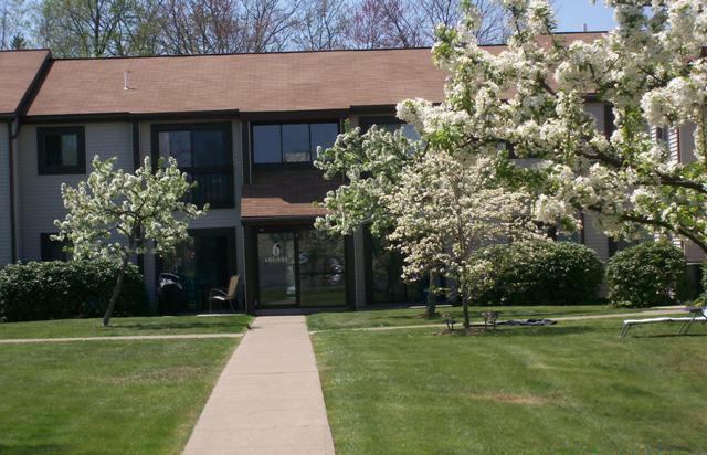 Building Photo - Tall Trees