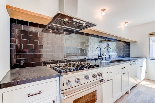 Chef's Kitchen with gas range, hood, dishwasher and fridge. - 835 Maltman Ave