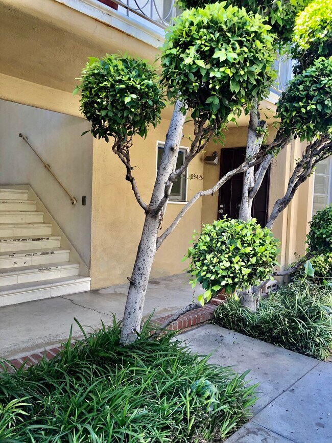 Foto del edificio - 10942 Moorpark St