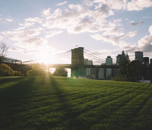 DUMBO's Brooklyn Bridge Park