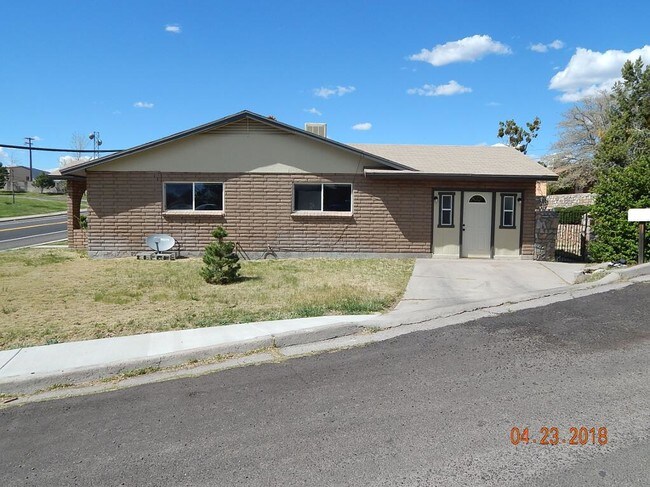 Side Yard, Parking - 3700 N Swan St