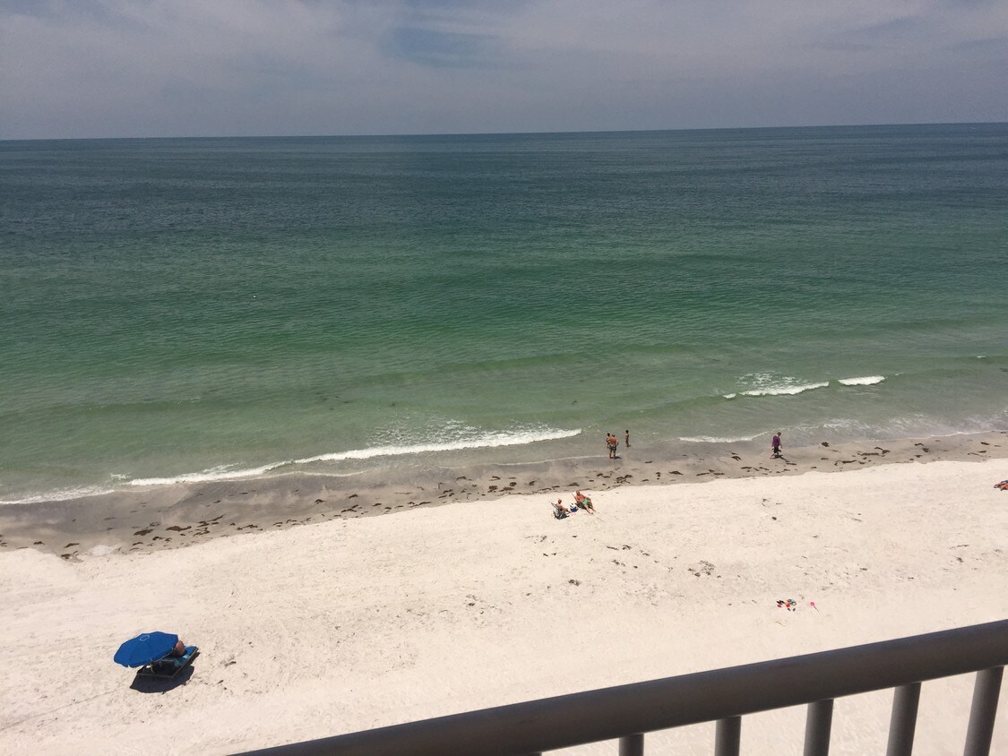 18650 Gulf Blvd, Indian Shores, FL 33785 Condo for Rent in Indian