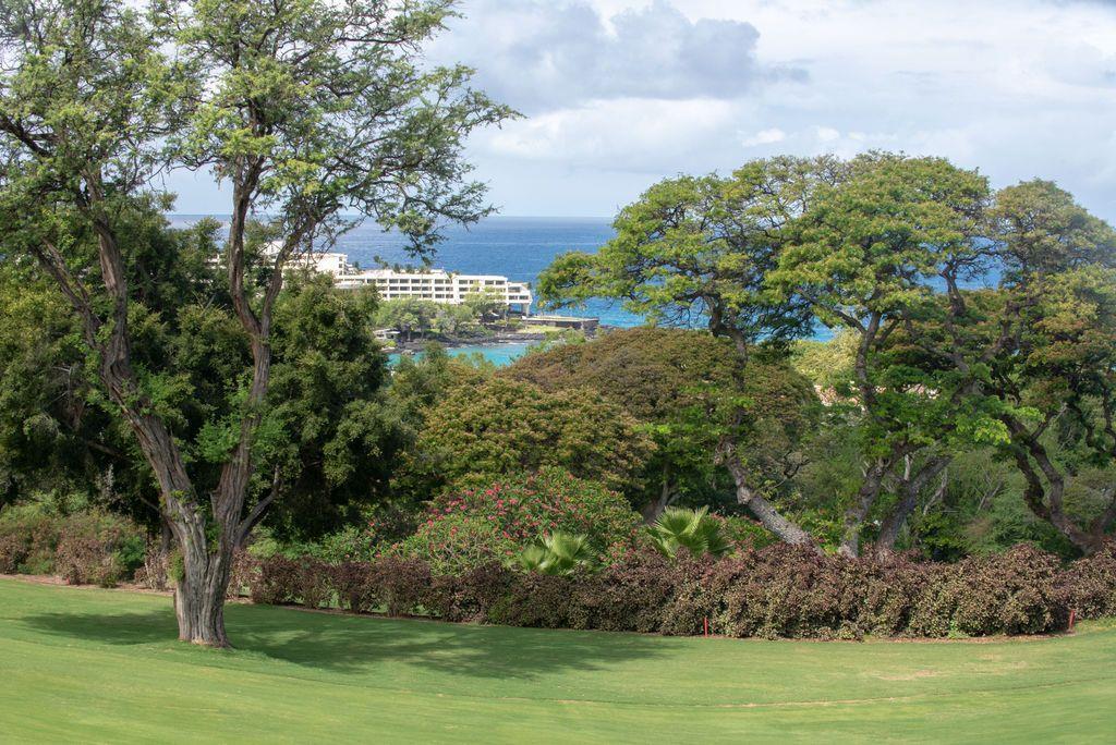 Primary Photo - 78-6920-6920 Alii Dr