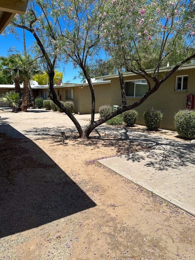 Foto del edificio - 2 bedroom near U of A!