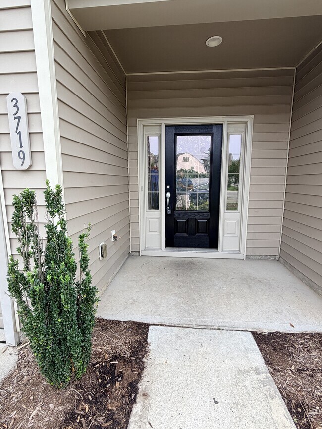 Building Photo - 3719 Landshire View Lane