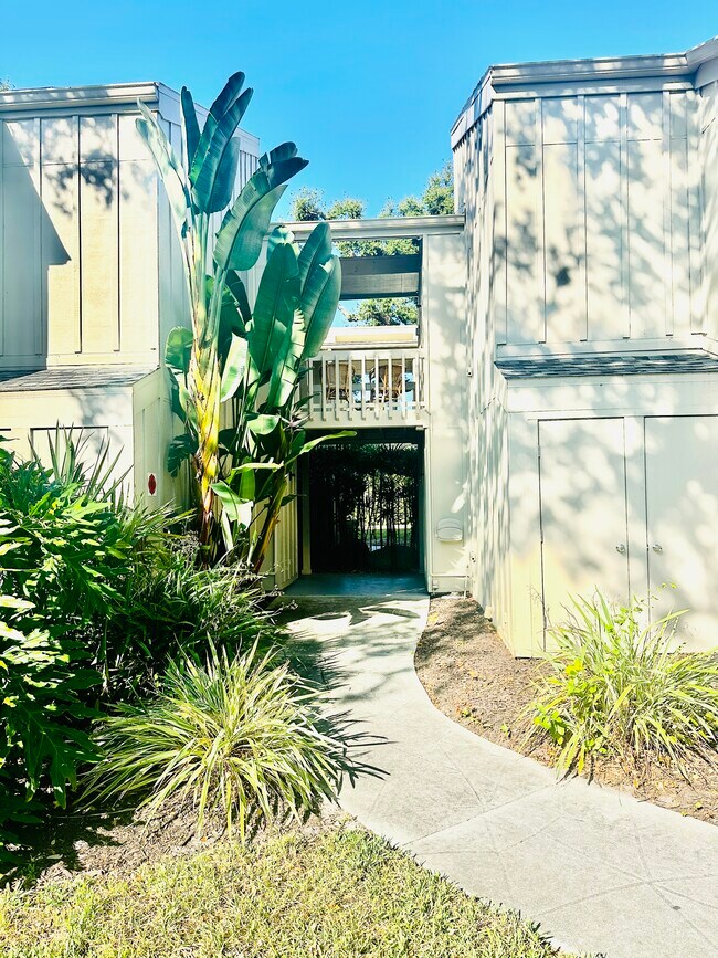 Entrada - 2200 Bahia Vista St