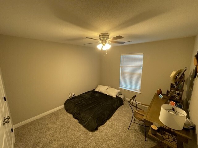 Foto del edificio - 5461 Geyser Blvd