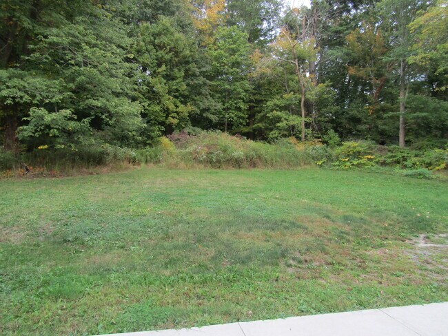 Backyard - 1264 Straits Turnpike