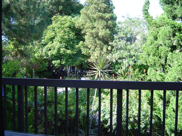 View from master bedroom - 2538 W MacArthur Blvd
