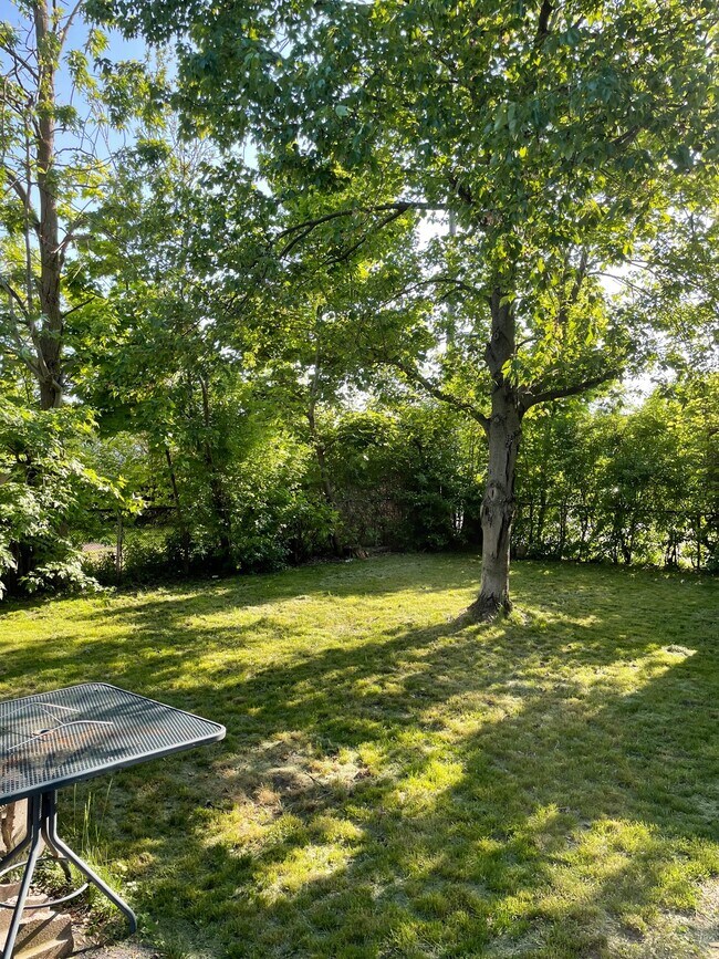 138 Springville Ave, Buffalo, NY 14226 House Rental in Buffalo, NY