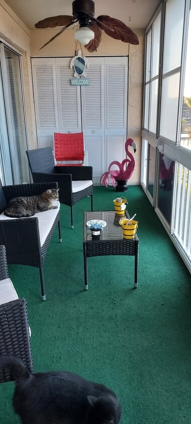 Primary Photo - 2135 N Courtenay Pky