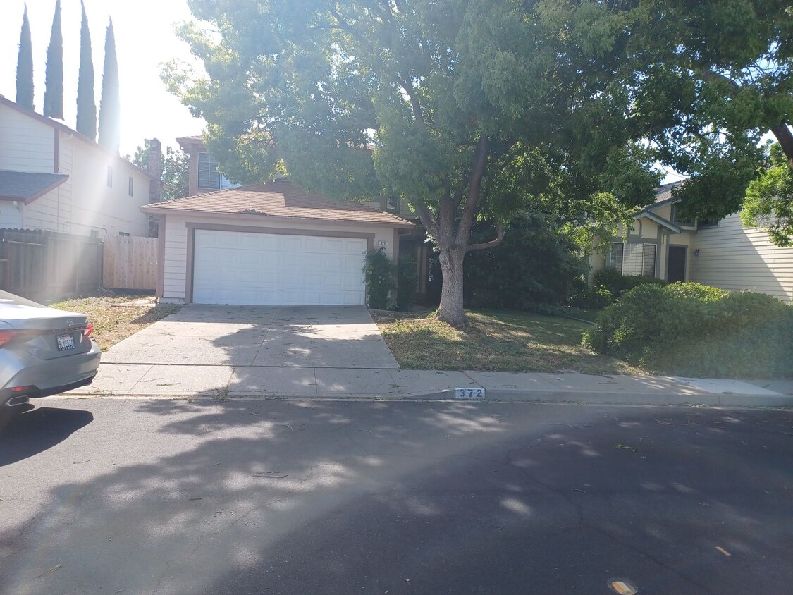 Primary Photo - Summerfield Subdivision.