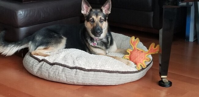 Foto del edificio - 33055 Dolphin Ct