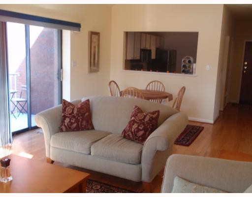 Living room - 100 Denniston St