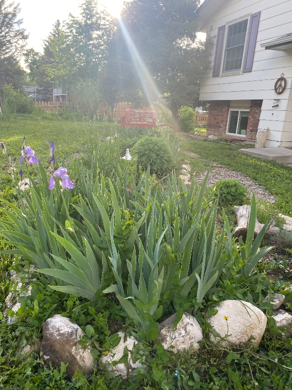 Primary Photo - 2524 W Plum St