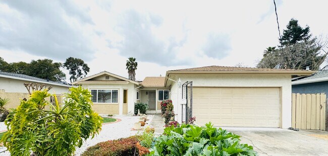 Building Photo - 3502 Tanager Cir