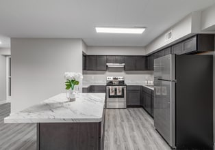 Building Photo - The Colony Apartments