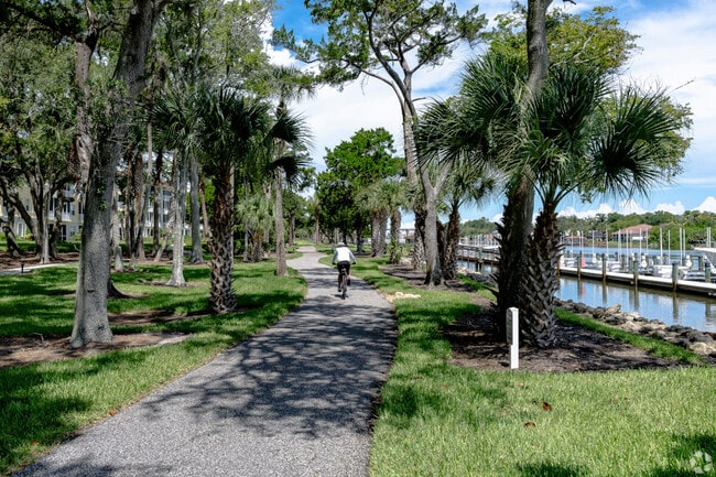Mountain Biking is a popular recreational activity in Palm Coast.