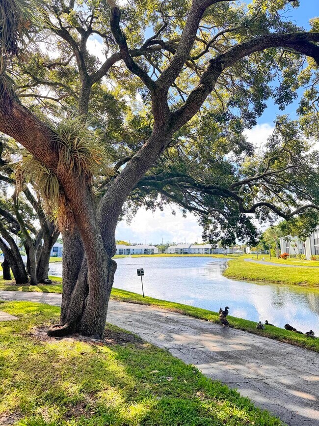 Foto del edificio - 1015 Green Pine Blvd