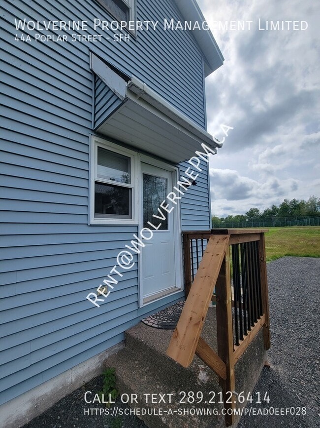Building Photo - Completely repainted throughout