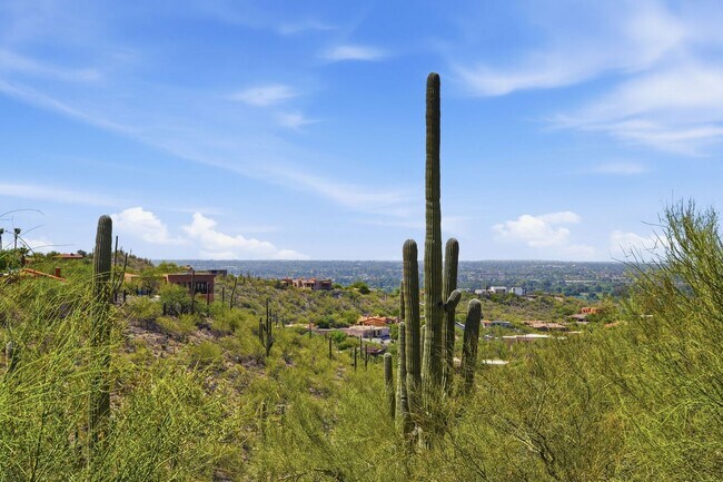 Building Photo - Pending/ Rented - Refined Desert Living in the Catalina Foothills