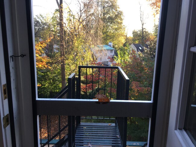 Foto del edificio - 209 Rutgers Ave