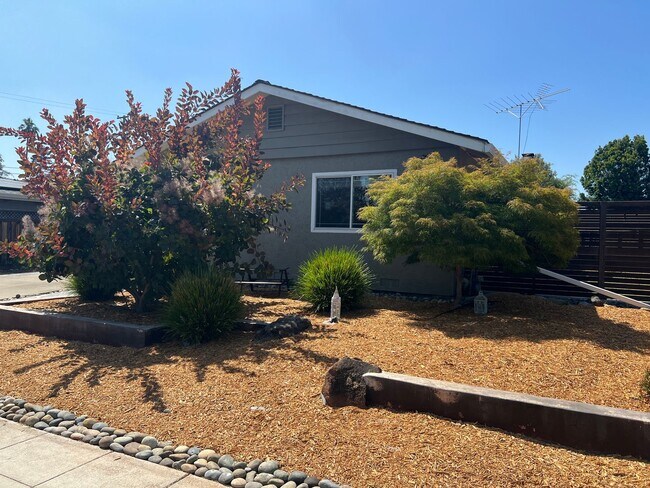 Building Photo - Beautiful 3 bed 2 bath home in Sunnyvale. ...