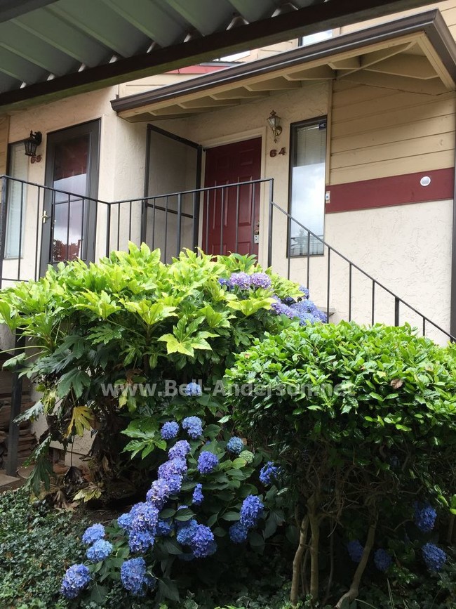 Foto del edificio - 1820 Maple Ln