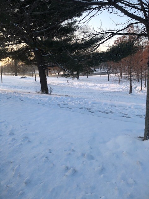 Frozen lake for ice skating - 7080 Jamieson Ave