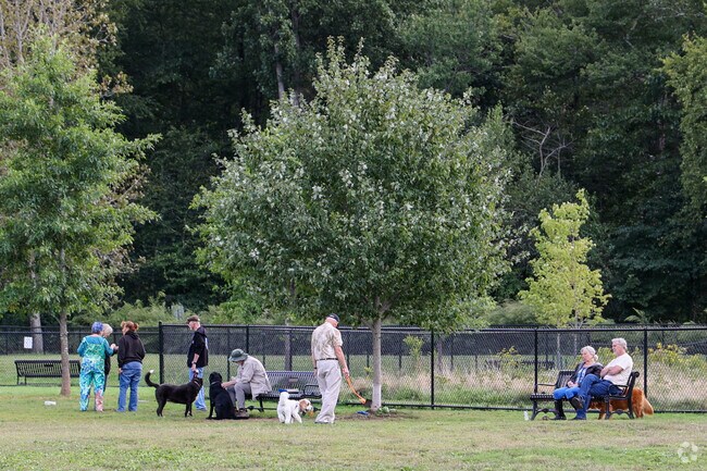 Dog owners gather with their best friends at the Woodbridge dog park.
