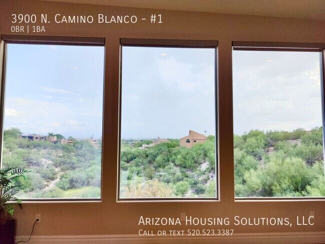Building Photo - 3900 N Camino Blanco
