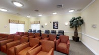 This single-floor screening room is thoughtfully designed to provide a comfortable and inviting communal entertainment space. The room is arranged with rows of seating in a tiered layout, accommodating a generous number of viewers. The front rows feature warm terracotta-toned upholstered armchairs, while the back row consists of sleek black leather recliner-style seats, offering variety in seating preference and comfort.

The room's décor strikes a balance between classic cinema charm and casual lounge appeal. Cream-colored walls are accented with crown molding and subtle wall sconces that emit a soft, ambient glow. A vintage-style movie poster serves as a focal point on one wall, adding a cinematic character to the space. A decorative artificial palm tree in the corner introduces a touch of tropical warmth.

Flush-mounted ceiling lights provide even illumination throughout the room, while a window along one wall, dressed with patterned valances, allows for natural light when desired. The carpeted floor enhances the acoustic quality of the space and contributes to its cozy atmosphere, making it well-suited for movie screenings and group gatherings.