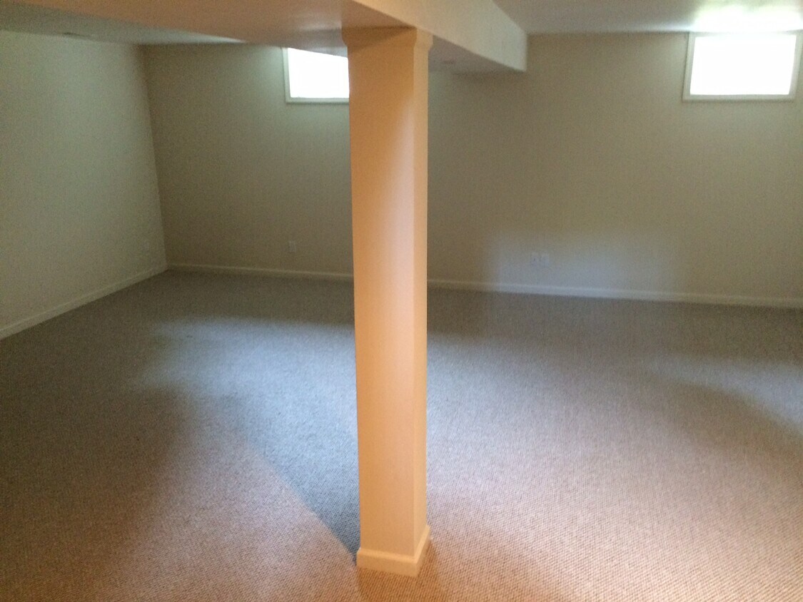 basement - 4717 Roop Rd