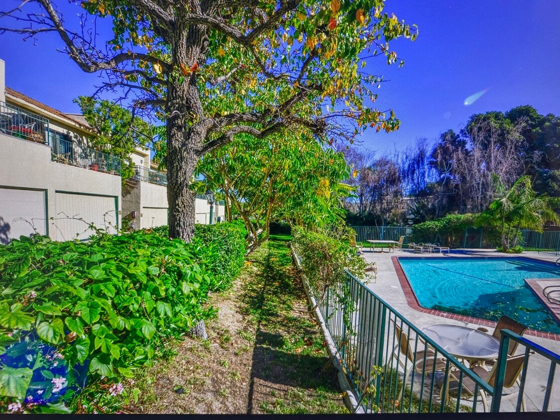 Primary Photo - 6456 Cavalleri Rd